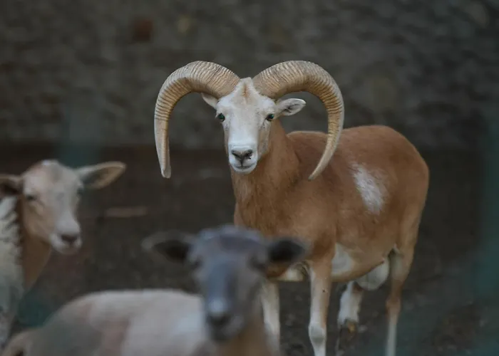 Eko Farma * Κλάντοβο