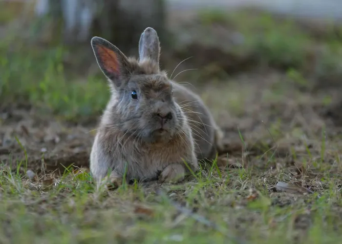 Κατάλυμα σε φάρμα Eko Farma *