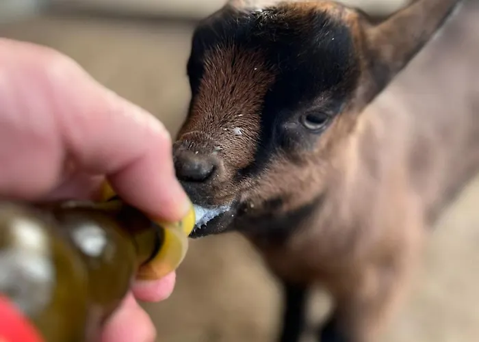 Κατάλυμα σε φάρμα Eko Farma Κλάντοβο