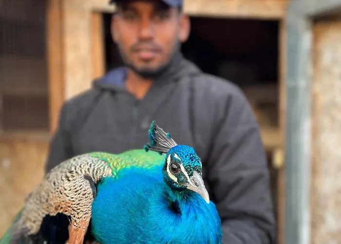 Eko Farma Κατάλυμα σε φάρμα