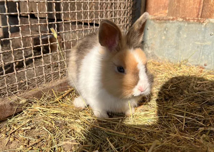 Κατάλυμα σε φάρμα Eko Farma